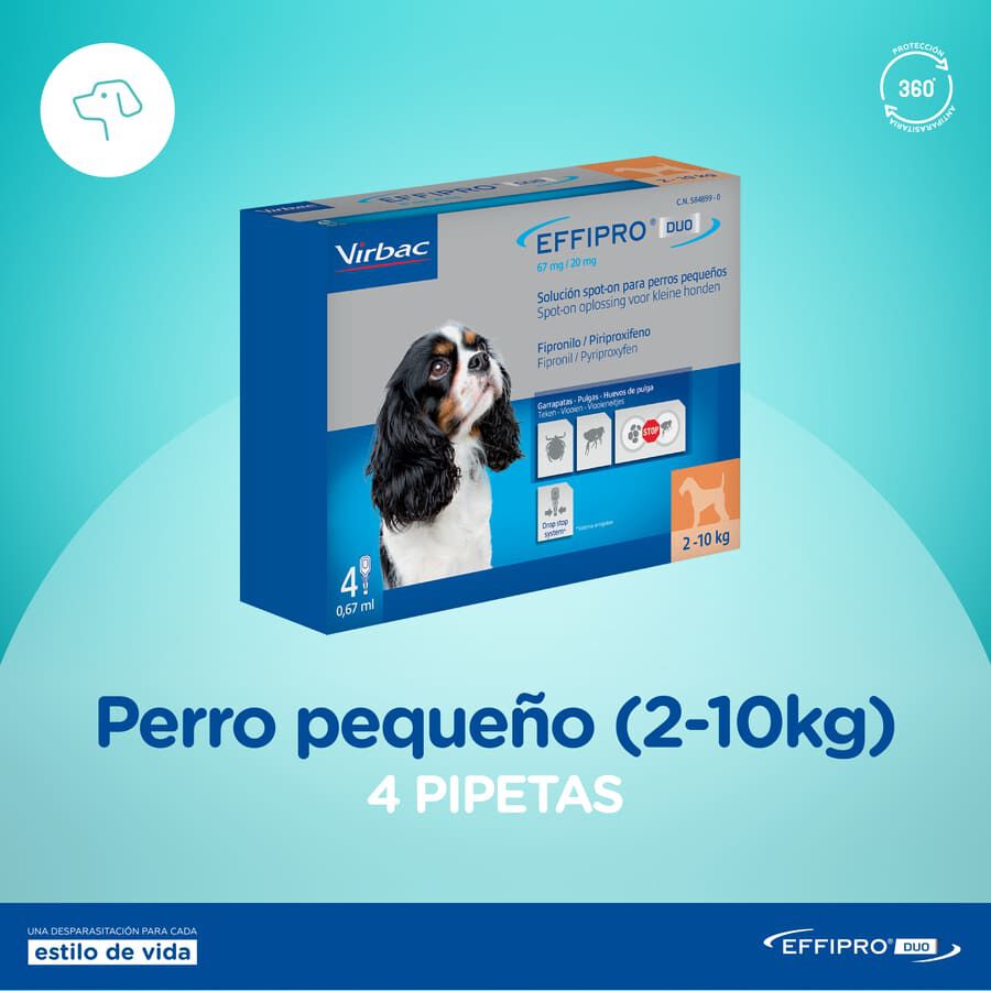 Effipro Duo pipetas antipar&aacute;sitos para perros, , large Imagen numero 3